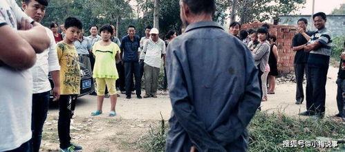 郑家庄吃瓜群众事件视频,一场网络舆论的风暴与反思