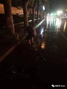 吃瓜第一线拍视频下雨天,趣味无限——吃瓜第一线独家直播