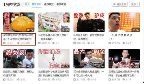以前吃瓜视频播放量,揭秘那些吃瓜视频的播放量神话