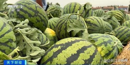 山东吃瓜最新消息视频,揭秘当地热门事件幕后真相