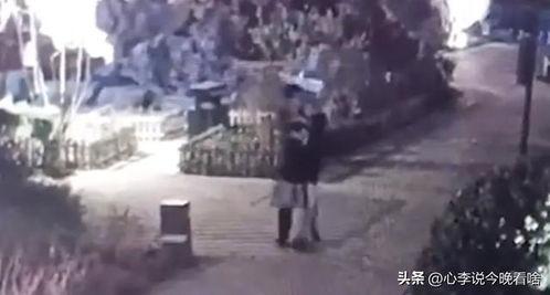 吃瓜王的完整视频,一场视觉盛宴的幕后故事