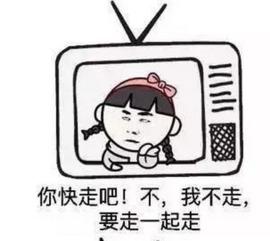 大人吵架吃瓜视频大全集,笑料百出，揭秘家庭矛盾背后的幽默瞬间