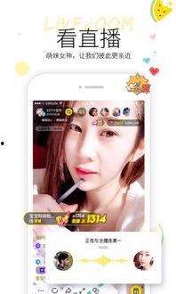 小厨娘在线吃瓜视频,揭秘娱乐圈幕后故事