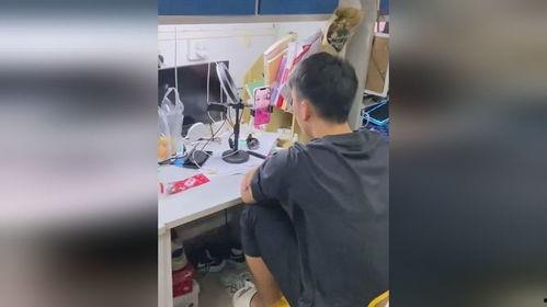 吃瓜群视频大全,趣味横生的网络娱乐盛宴