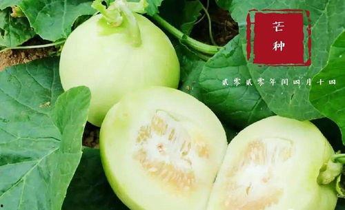 菏泽翰林吃瓜视频