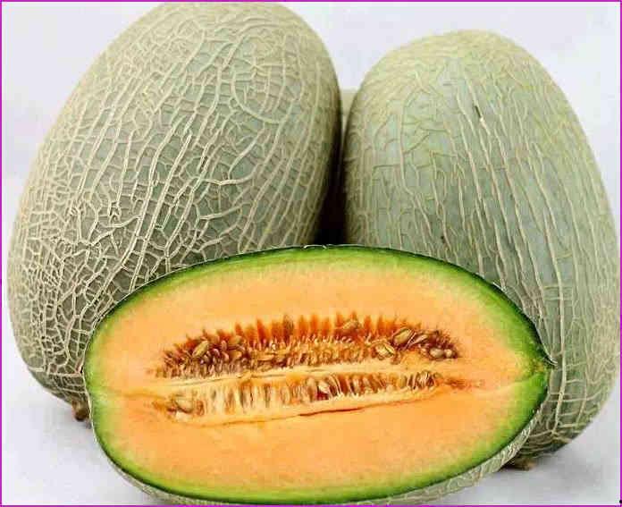 喂熊猫吃哈密瓜好吗视频,揭秘熊猫吃哈密瓜的趣味瞬间