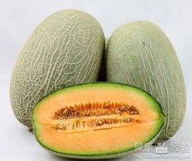 喂熊猫吃哈密瓜好吗视频,揭秘熊猫吃哈密瓜的趣味瞬间