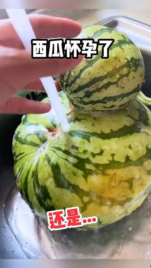 夏天吃瓜的搞笑视频,吃瓜视频欢乐无限